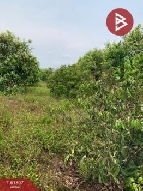 ��·��Թ �Ҥһ�С�Ȣ�� 1,340,000 �ҷ