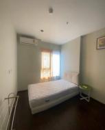 ��¤͹������� �Ҥһ�С�Ȣ�� 3,600,000 �ҷ