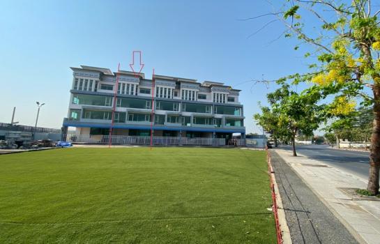 ������ �� panaya.opalopal