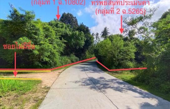 ������� �� compos2566