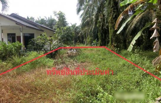 ��� �� compos2566