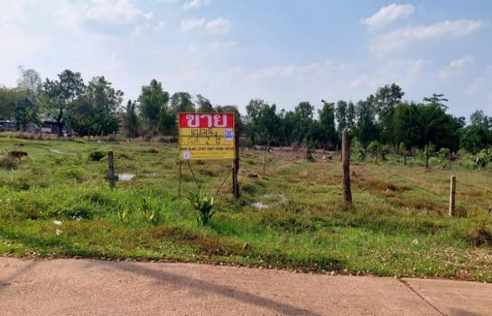 ˹ͧ��� �� zionasset1