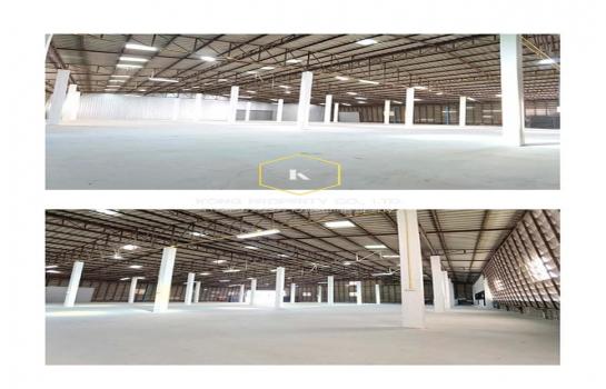 ���ͧ �� Kong property