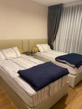 ��ا෾ �� M Property