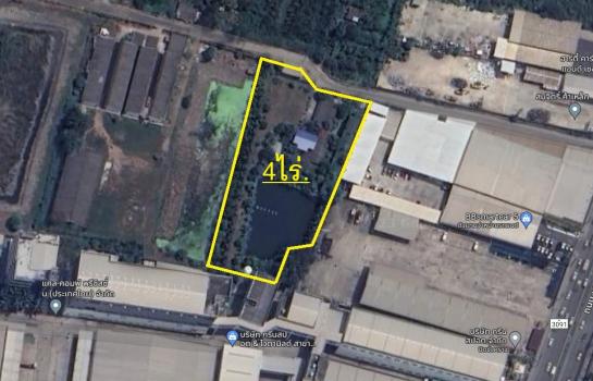 ��ط��Ҥ� �� Patkorn