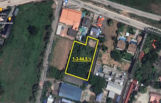 �ҧ���ا �� Patkorn