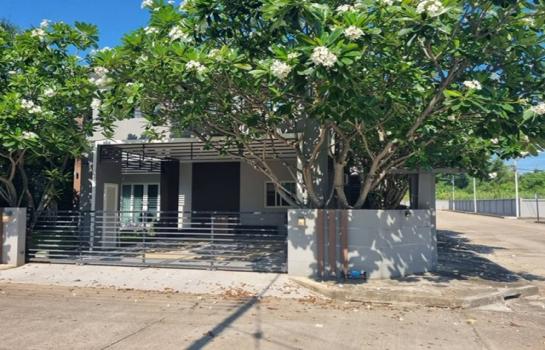 ��ҹ�ҧ�� �� Sawasdee