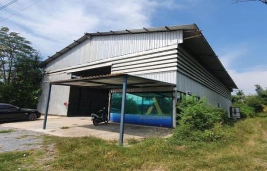 �����ҹ �� AssetD4U