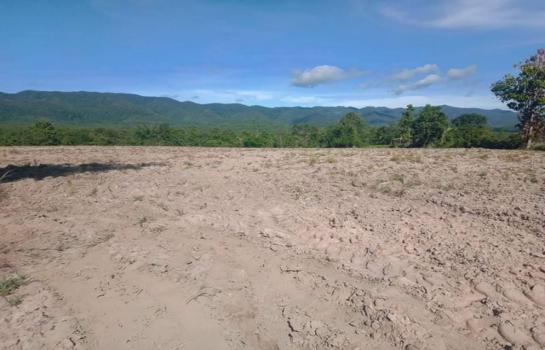 ��� �Ӿٹ �� tayapornaik1