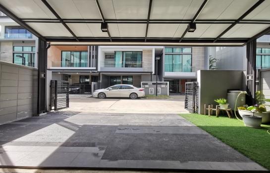 �س ��ѳ��