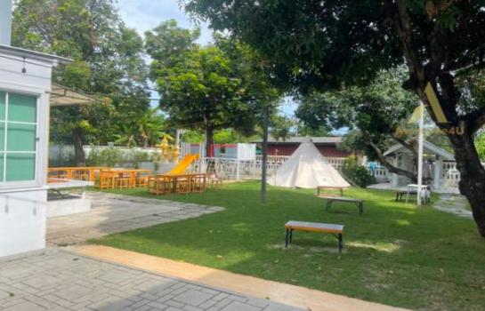 ������ԭ �� AssetD4U