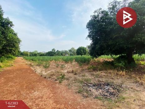 �ź��� �� The Best Property Agent