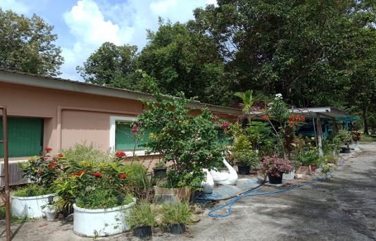 ���Թ 5 ���