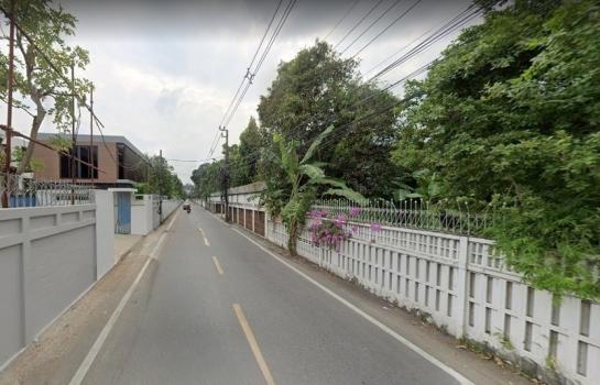 ���Թ�Ѳ�� �� HarrisonTH