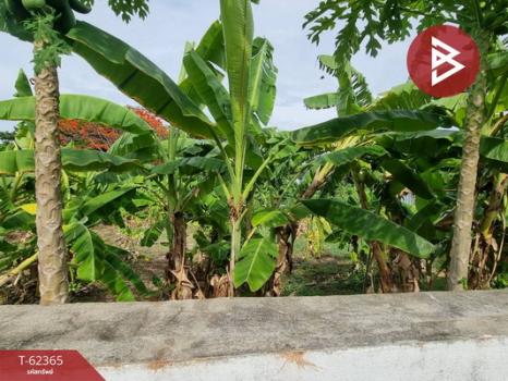 ��ا෾ �� The Best Property Agent