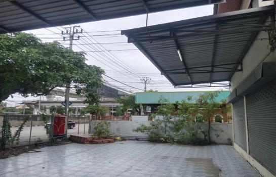 �չ���� �� naorinpl