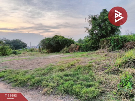 ��ɳ��š �� The Best Property Agent