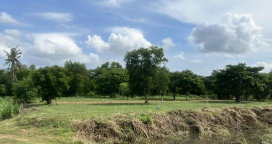 ��ɳ��š �� room168sub