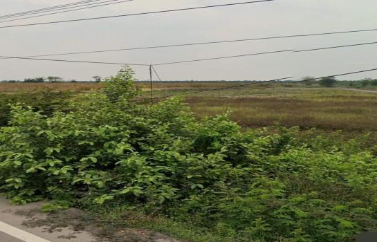 ���Թ 5 ���