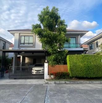 ��»����� �� asangha PL