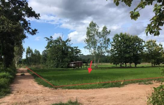 �ѧ�ͧ �� compos2566