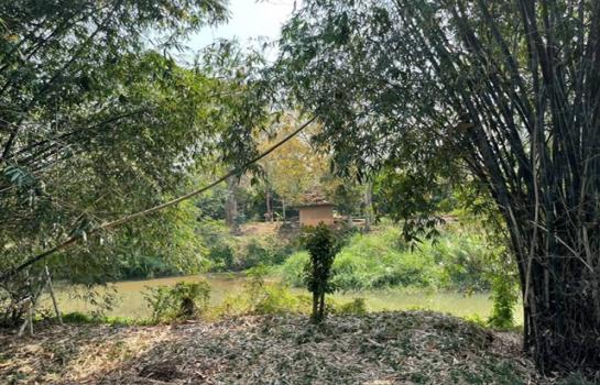 ��§��� �� onanong khumaphao