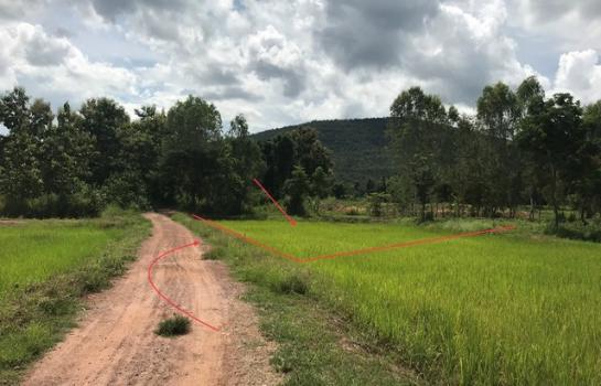 ����� �� panaya.opalopal