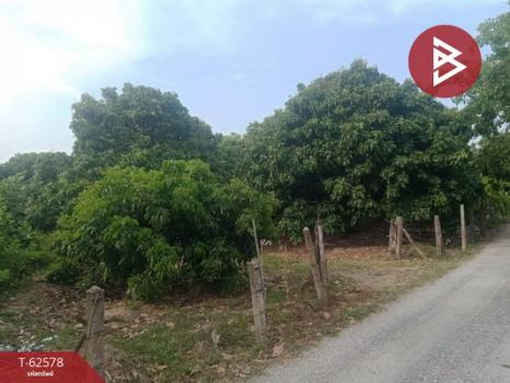 �Ӿٹ �� The Best Property Agent