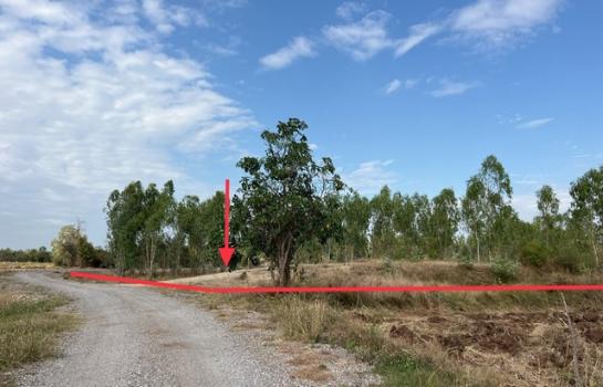 ������ä� �� panaya.opalopal