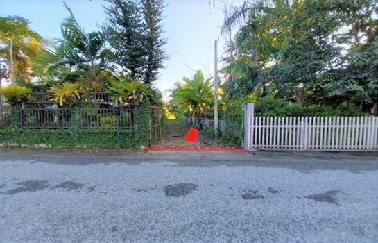 �ѹ��ᾧ �� compos2566