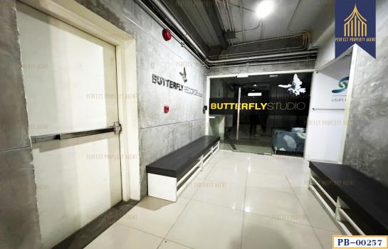 �Ҥ�þҳԪ�����ö俿����Թ ���¢�ҧ