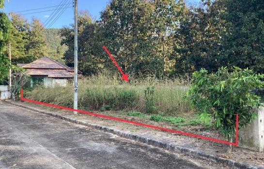 �����§���� �� panaya.opalopal