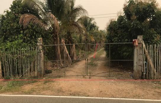 �ҧ �� compos2566