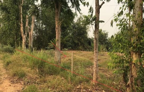 �ҧ �� panaya.opalopal