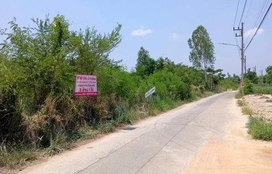 ����Ҫ���� �� rattana27