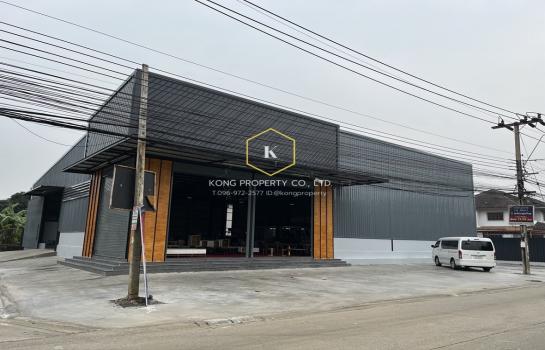 �ҧ���� �� Kong property