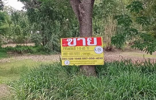 �����ä�� �� zionasset1