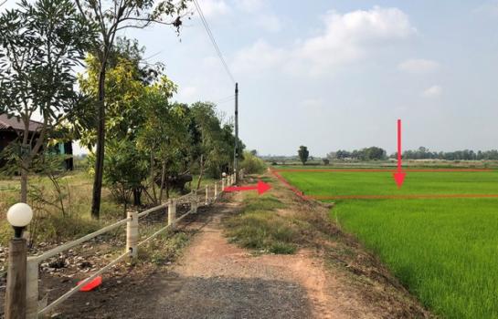 ��ɳ��š �� compos2566