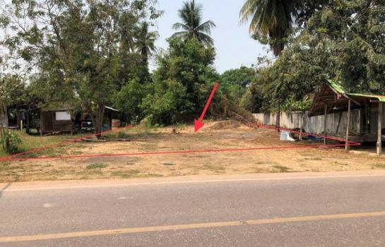 ��ɳ��š �� compos2566