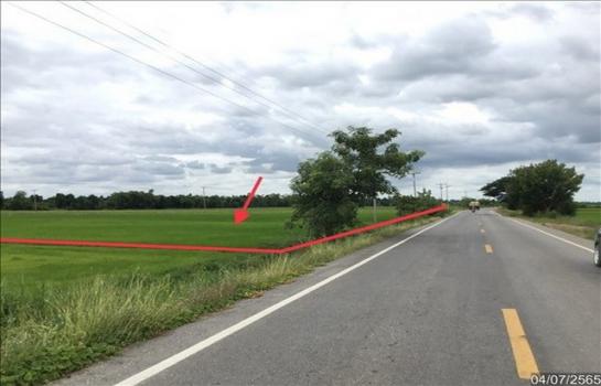 ��ɳ��š �� compos2566