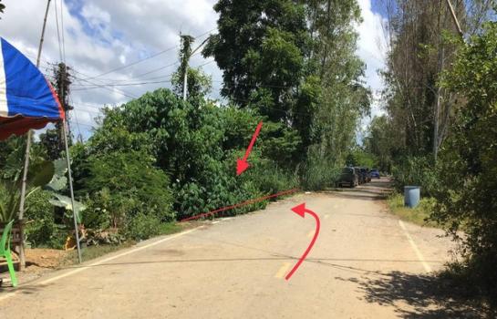 ��ɳ��š �� panaya.opalopal