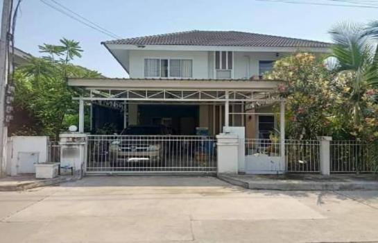 �ҧ�� �� northern1