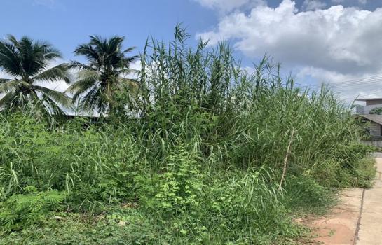 ���ͧ �� auipost63