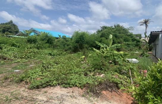 ���ͧ �� auipost63