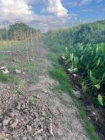 ��·��Թ �Ҥһ�С�Ȣ�� 800,000 �ҷ