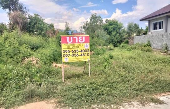 �ҡ �� zionasset1