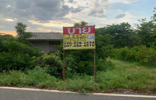 ��¹�ҹ �� zionasset1