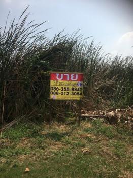 �ǹ��ǧ �� zionasset1