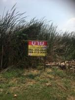 ��·��Թ �Ҥһ�С�Ȣ�� 8,397,000 �ҷ