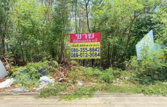 ����Ѳ�� �� zionasset1